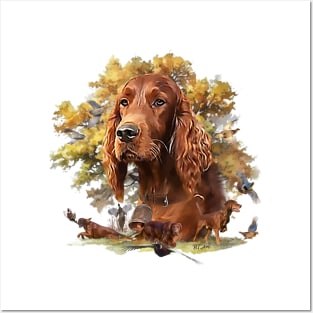 Irish Setter Posters and Art